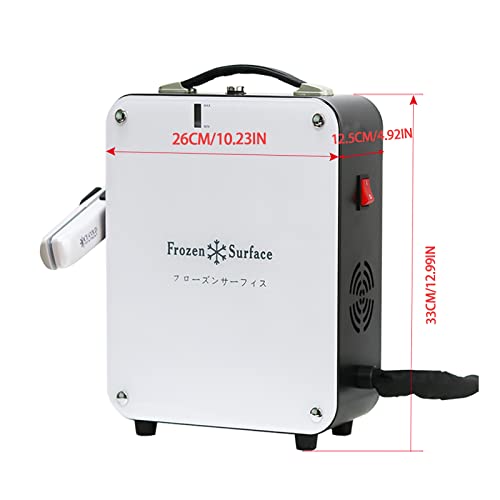 Frozen Flat Hair Iron Hair Colour Hairdressing Hair Salon 15.8F for Dye Hair ...