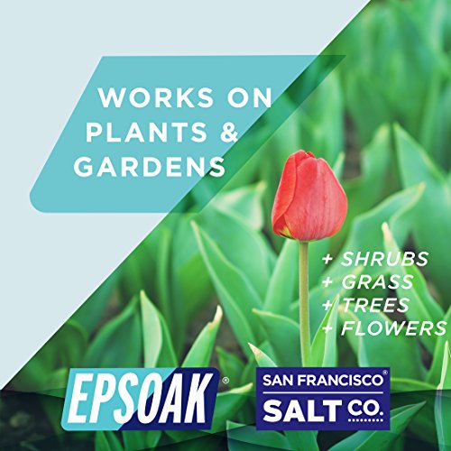 Epsoak USP Epsom Salt - 10 lb. Bulk Bag