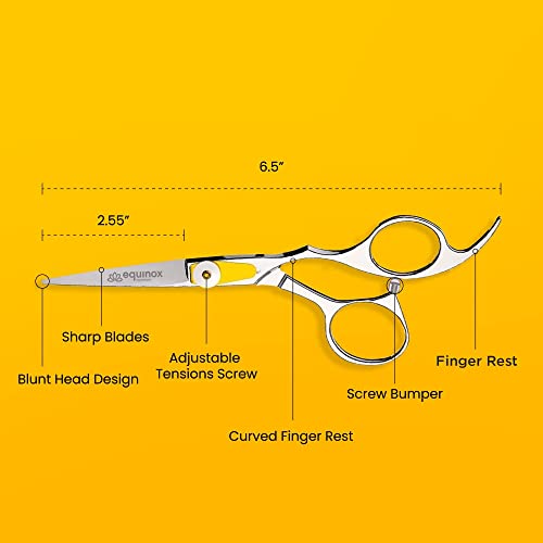 Equinox Professional Hair Scissors - Hair Cutting Scissors Professional - 6.5...