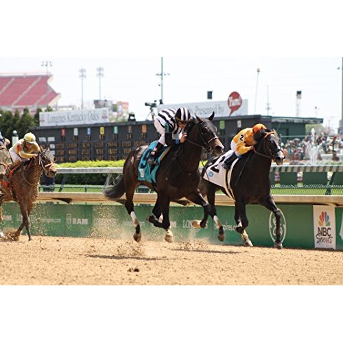 EquiSilver Respiratory Solution | All Natural Respiratory Relief with Rapid H...