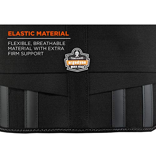 Ergodyne ProFlex 1600 Back Support Brace, 9" Extended Support, High Cut Front...