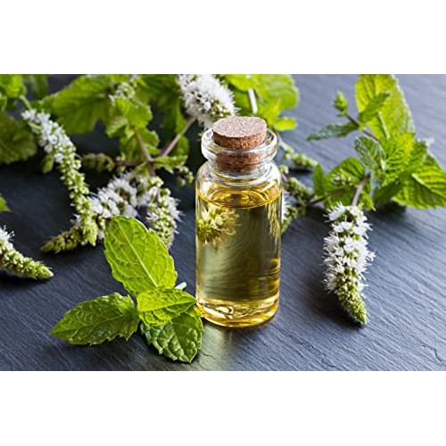 Espree Ear Care Cleaner 118ml