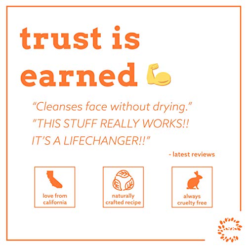 Vitamin C Cleanser Face Wash | HUGE 8 oz Anti Aging Facial Cleanser for Dark ...