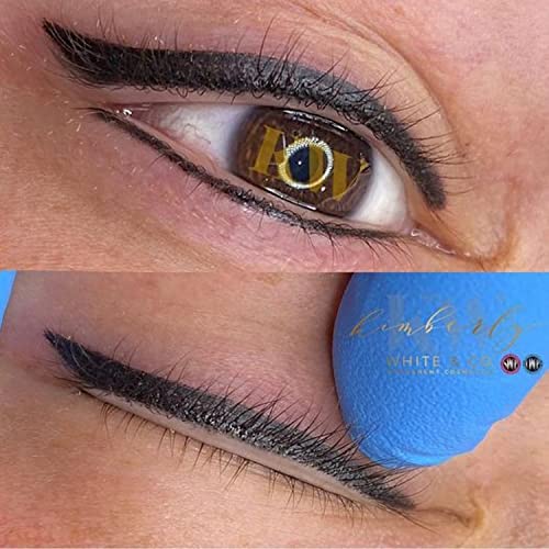 Ever After Pigments Enchanted Onyx (Dark Pure Black) Permanent MakeUp PMU for...