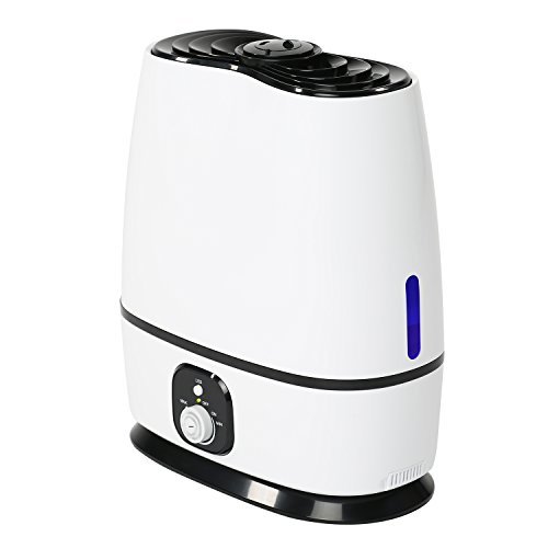 Everlasting Comfort Cool Mist Humidifier for Bedroom (6L) - Filterless, Quiet...