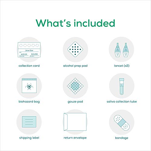 Everlywell Metabolism Test - at-Home Collection Kit - Accurate Results from a...