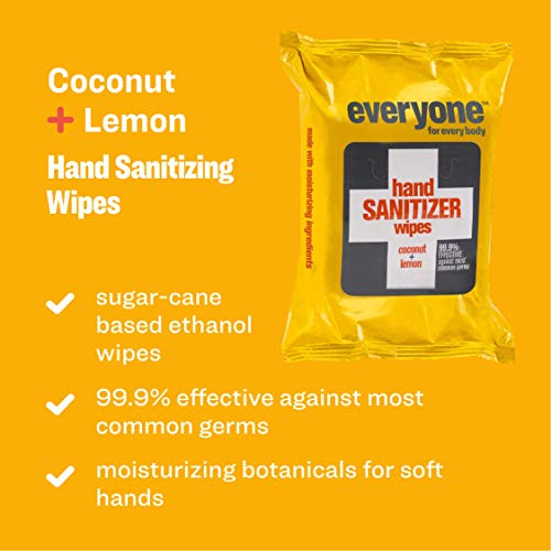 Everyone Hand Sanitizer Wipes, 1 Pack of 30 Towelettes, Coconut and Lemon, Pl...