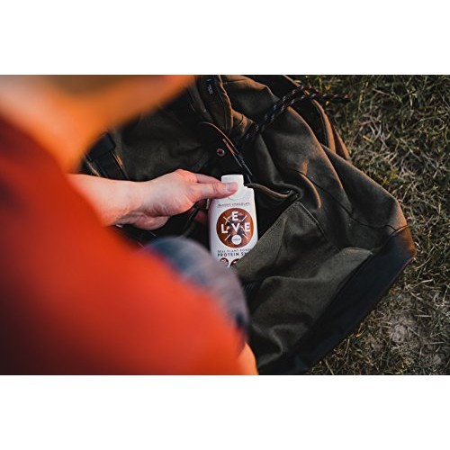 Evolve Plant Based Protein Shake, Double Chocolate, 20g Vegan Protein, Dairy ...