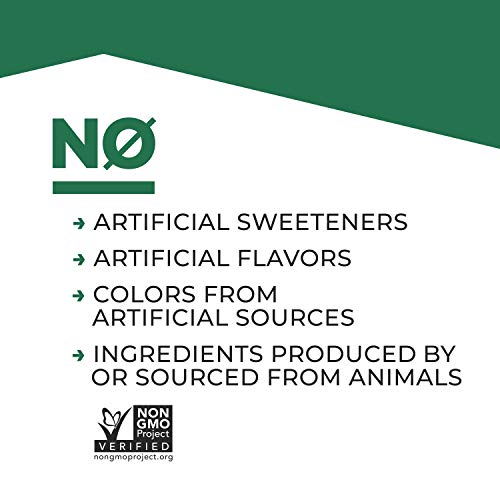 Evolve Plant Based Protein Shake, Double Chocolate, 20g Vegan Protein, Dairy ...