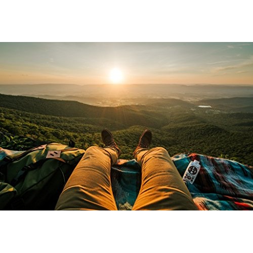 Evolve Plant Based Protein Shake, Double Chocolate, 20g Vegan Protein, Dairy ...