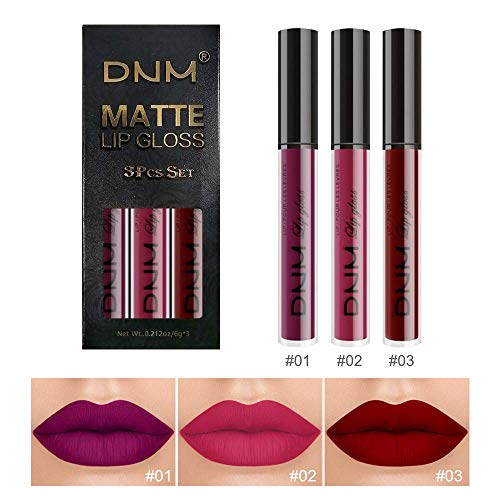 3Pcs Matte 24-hour Liquid Lipstick Sets,DNM Matte Dark Red Purple Lipstick Li...