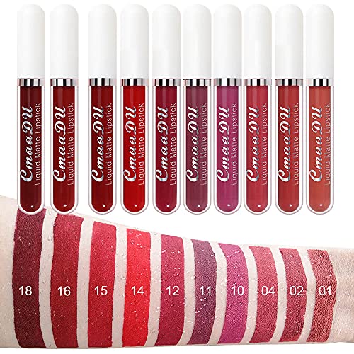 evpct 10Pcs Waterproof Liquid Matte Matt Lipsticks Set Matt Liquid,CmaaDU Dar...
