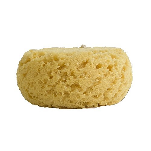Evriholder Foam Body Sponge for Exfoliating Large Scrubber for a Relaxing Sho...