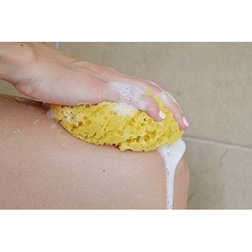 Evriholder Foam Body Sponge for Exfoliating Large Scrubber for a Relaxing Sho...