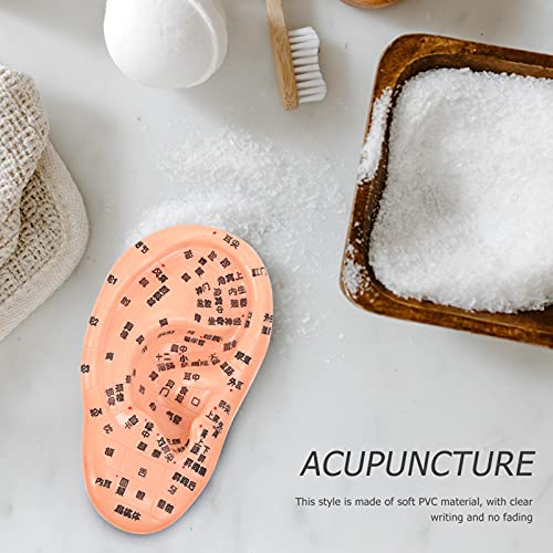 EXCEART Ear Acupuncture Model Ear Zone Model Human Ear Model Medical Models w...