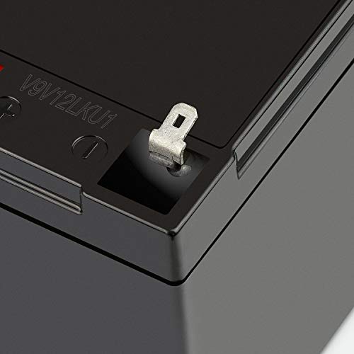 ExpertPower Standard 12V 7AH Rechargeable SLA Battery, (EXP1270-2) - 2 Pack