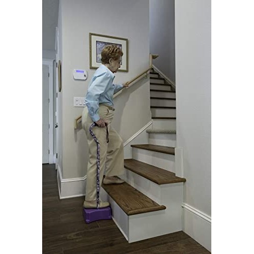 EZ-Step Stair Climbing Cane Purple Floral