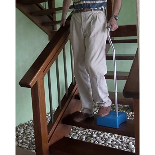 EZ-Step Stair Climbing Cane Purple Floral