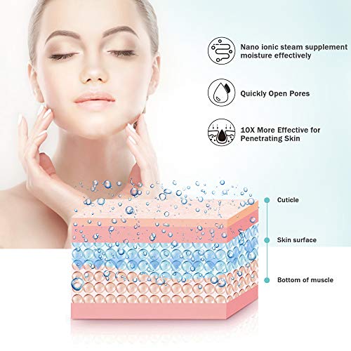 Facial Steamer EZBASICS Ionic Face Steamer for Home Facial, Warm Mist Humidif...
