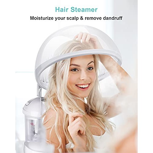 Hair Steamer EZBASICS 2 in 1 Ion Facial Steamer with Extendable Arm Table Top...