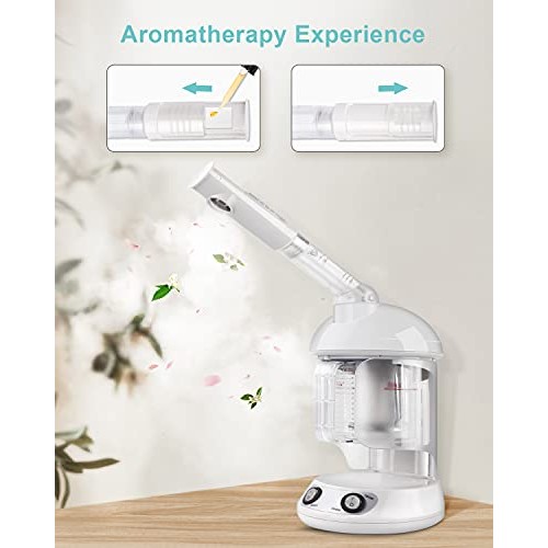 Hair Steamer EZBASICS 2 in 1 Ion Facial Steamer with Extendable Arm Table Top...