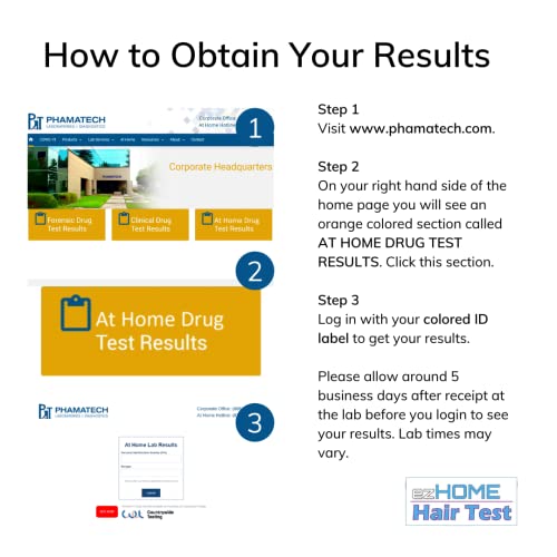 ezHOME Hair Follicle Drug Test