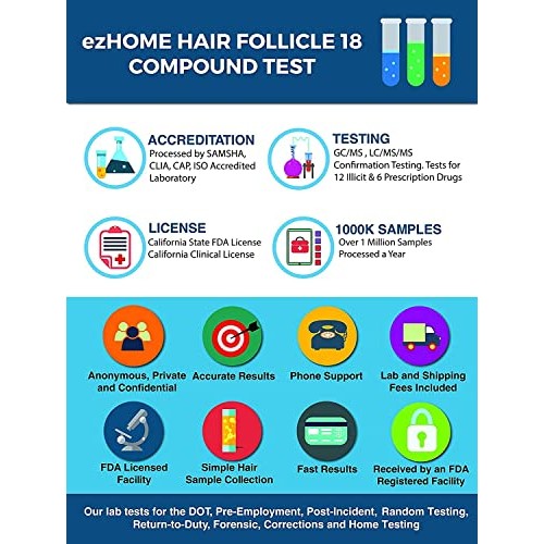 ezHOME Hair Follicle Drug Test
