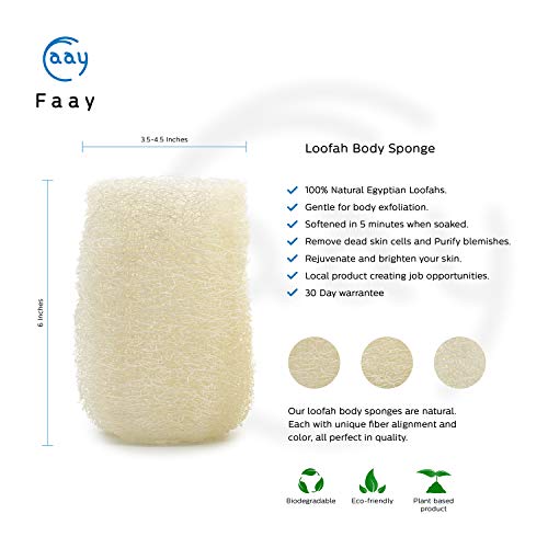 FAAY 4 Pcs Premium Natural Exfoliating Loofah Sponge: 6" Eco-friendly Unbleac...