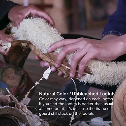 FAAY 4 Pcs Premium Natural Exfoliating Loofah Sponge: 6" Eco-friendly Unbleac...