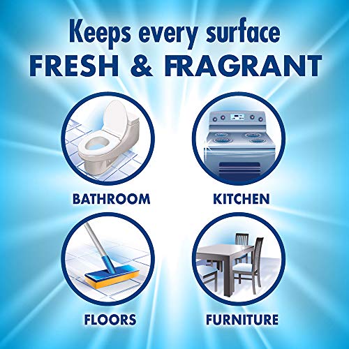 FABULOSO Professional All Purpose Cleaner & Degreaser, Ocean Cool, Concentrat...