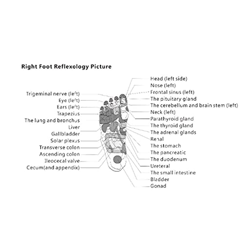 FASZFSAF Mini Smart Swing Exerciser Chi Machine, Foot Massager Machine, Foot ...