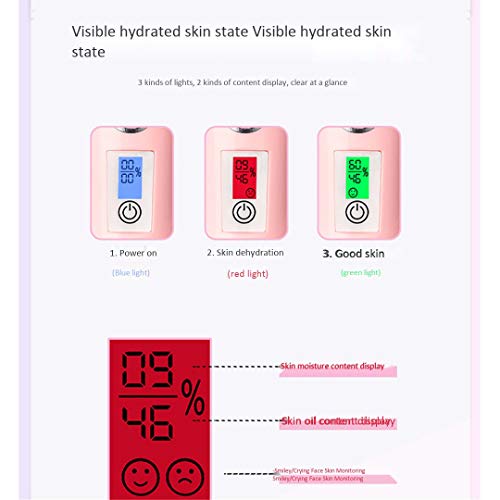 FDSF LCD Display 2In1Mini Facial Steamer Skin Test USB Sprayer Deep Hydrating...