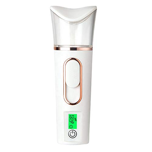 FDSF LCD Display 2In1Mini Facial Steamer Skin Test USB Sprayer Deep Hydrating...