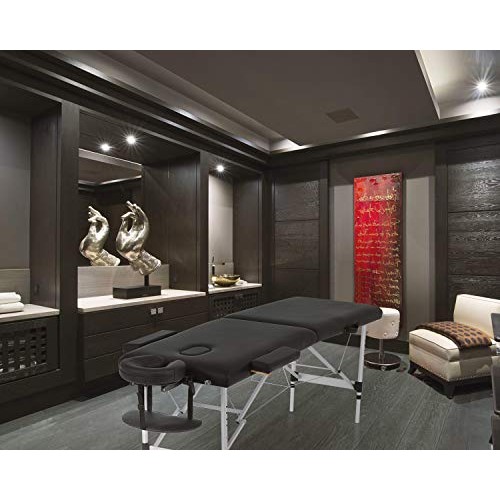 Massage Table Massage Bed Spa Bed 73 Inch Aluminium Massage Table W/Face Crad...