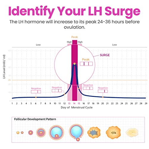 femometer® 50 Ovulation & 20 Pregnancy Test Strips Kit, FSA Eligible