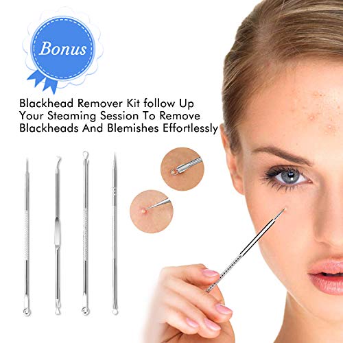 Facial Steamer, Fenitrany Sicy 2022 New Nano Ionic Face Facial Steamer Warm M...