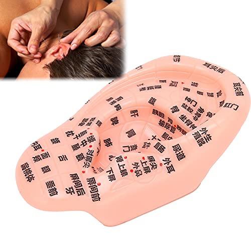 1PC Ear Zone Model, Ear Acupoint Pressure Point Learning Human Acupuncture Mo...