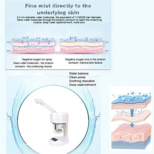 Facial Steamer, Mini Professional Face Steam Machine with Touch Screen for An...