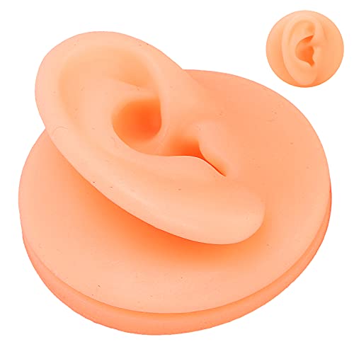 Silicone Ear Model, Acupuncture Practice Model Reusable Simulation Ear Displa...