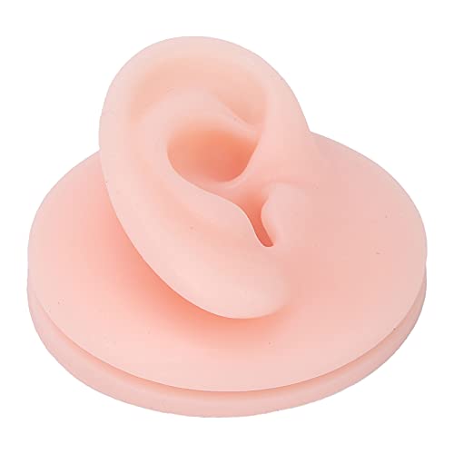 Silicone Ear Model Soft - Flexible Professional Soft Silicone Ear Model Fake ...