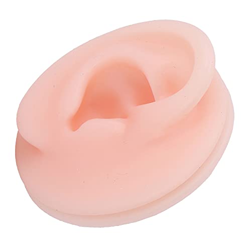 Silicone Ear Model Soft - Flexible Professional Soft Silicone Ear Model Fake ...