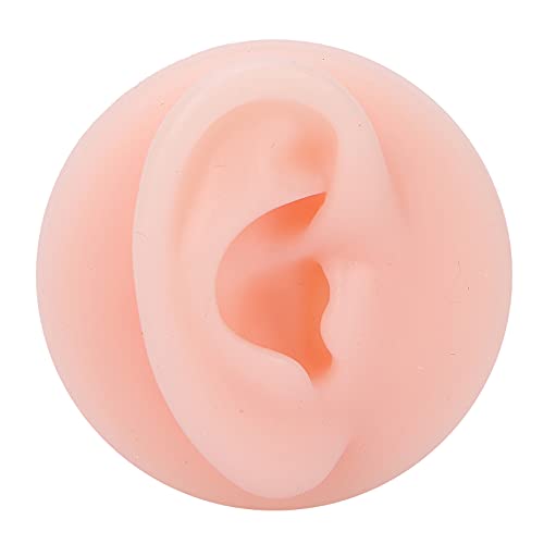Silicone Ear Model Soft - Flexible Professional Soft Silicone Ear Model Fake ...