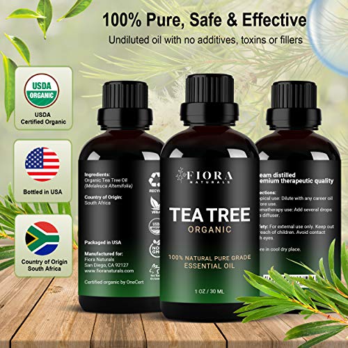 Tea Tree Essential Oil by Fiora Naturals- 100% Pure Organic Tea Tree Oil, for...