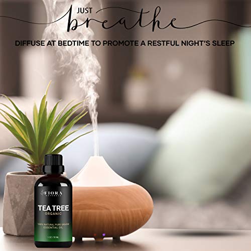 Tea Tree Essential Oil by Fiora Naturals- 100% Pure Organic Tea Tree Oil, for...