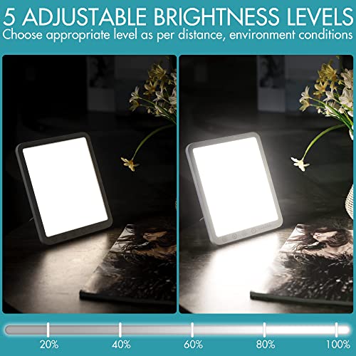 Light Lamp, 15000 Lux Simulated Sunlight, 3 Color Temperature, 5 Brightness L...