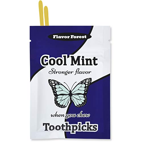 Mint Flavored Toothpicks (Flat Shape) 100ct