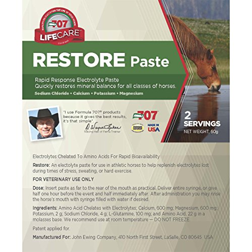 Formula 707 Restore Equine Paste, 2 Servings – Fast-Acting Paste Quickly Repl...