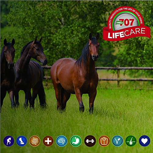 Formula 707 Restore Equine Paste, 2 Servings – Fast-Acting Paste Quickly Repl...