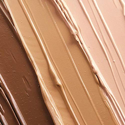 Fountain of Truth Perfect Skin Illuminator (Medium) – Illuminating Tinted Fac...