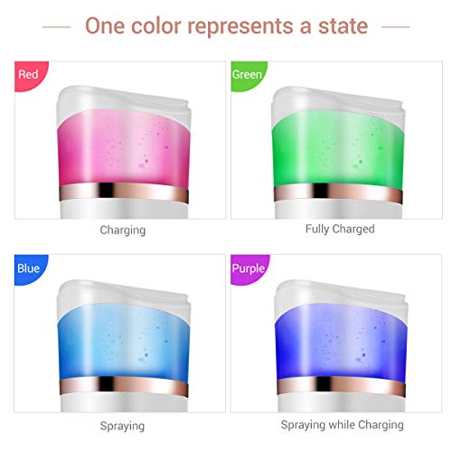 Frcolor Handy Mist Sprayer Face Steamer Nano Mister for Skin Care, Face Moist...